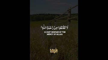 سوره زمر (آیه 53)