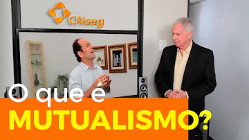 O que é o mutualismo formador do seguro é porque ele é tão importante para o mundo?