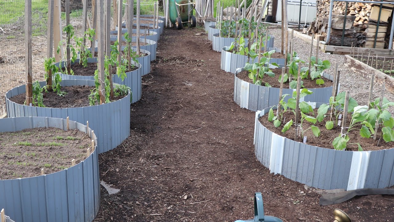 Planting The Garden 2019 First The Raised Bed Area