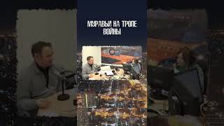 На пальцах 16.02.18 \ Ученые возле муравейника #наука #shorts