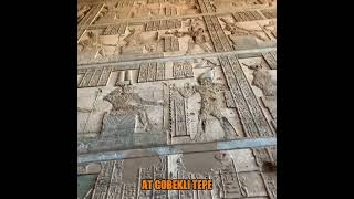 Every Wall Tells A Forbidden Story!