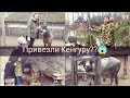 УКРАИНСКОЕ СЕЛО ЗООПАРК//ПРИВЕЗЛИ КЕНГУРУ??😱🦘