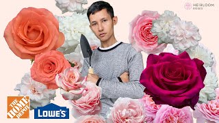 Heirloom roses unbox (Eden Roses) - A tour of my local Lowes and Home Depot for the spring garden