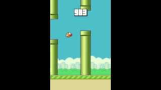 Flappy Bird - World record score? 1123 POINTS screenshot 1