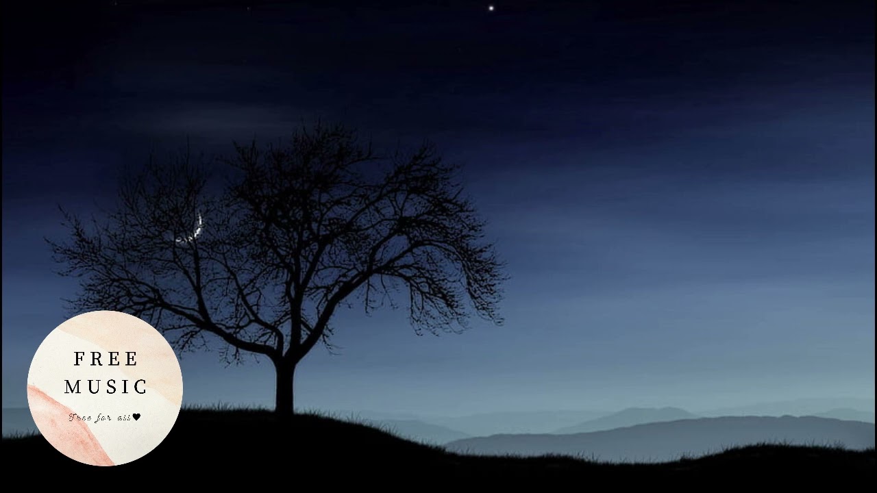 KSMK - Dream (No Copyright Music)