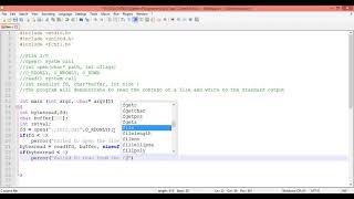 System Programming | Unix File input/output | read system call | write system call