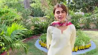 | ARY Digital Drama