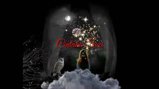 Story' wa cintaku suci