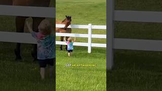 Horse’s shocking reaction when it reached him! 🤯💛 #animals #horse  #smartanimals