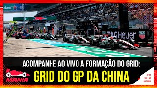 Pole de Antonelli no GP da China de 2026 | React