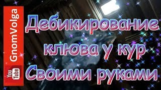 Дебикирование клюва у кур своими руками