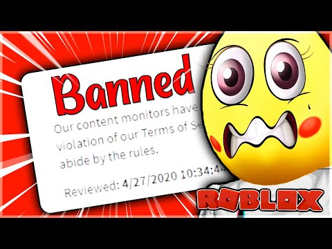 Exposing Why Project Zorgo Is Hacking Roblox Youtubers Youtube - ban hammer hack t shirt free roblox