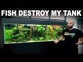 My Fish Destroyed My Tank!! (NEVER GIVE UP!!)
