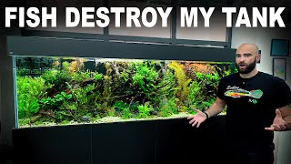 My Fish Destroyed My Tank!! (NEVER GIVE UP!!)