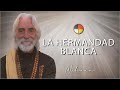 La Hermandad Blanca - Contacto desde Inti Waka