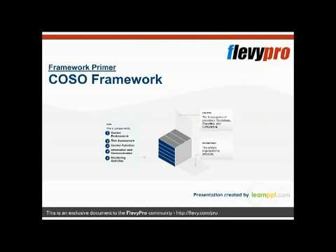 COSO Framework