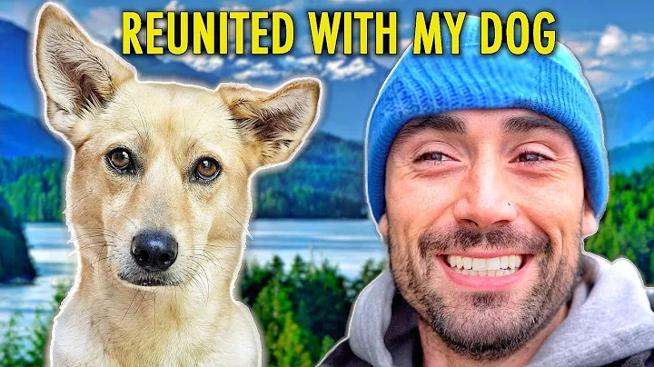 Surprising My Dog After 3 Months Apart! (Emotional...