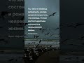 Идиотизм и романтика ... Ремарк  - Цитаты про жизнь на каждый день #цитаты #прожизнь #shorts