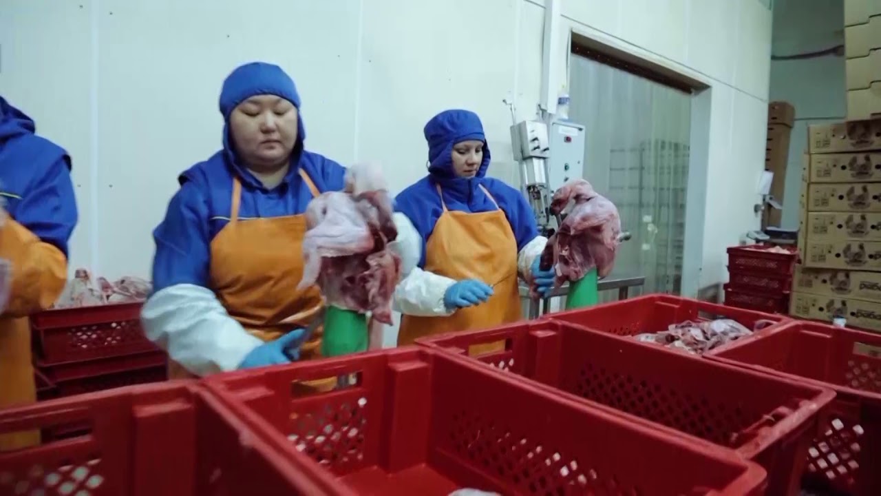 Наталька Карпаның порно видеосы