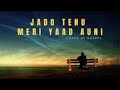 JADO TENU MERI YAAD AUNI | EHSAS SONG | (SLOW + REVERB)