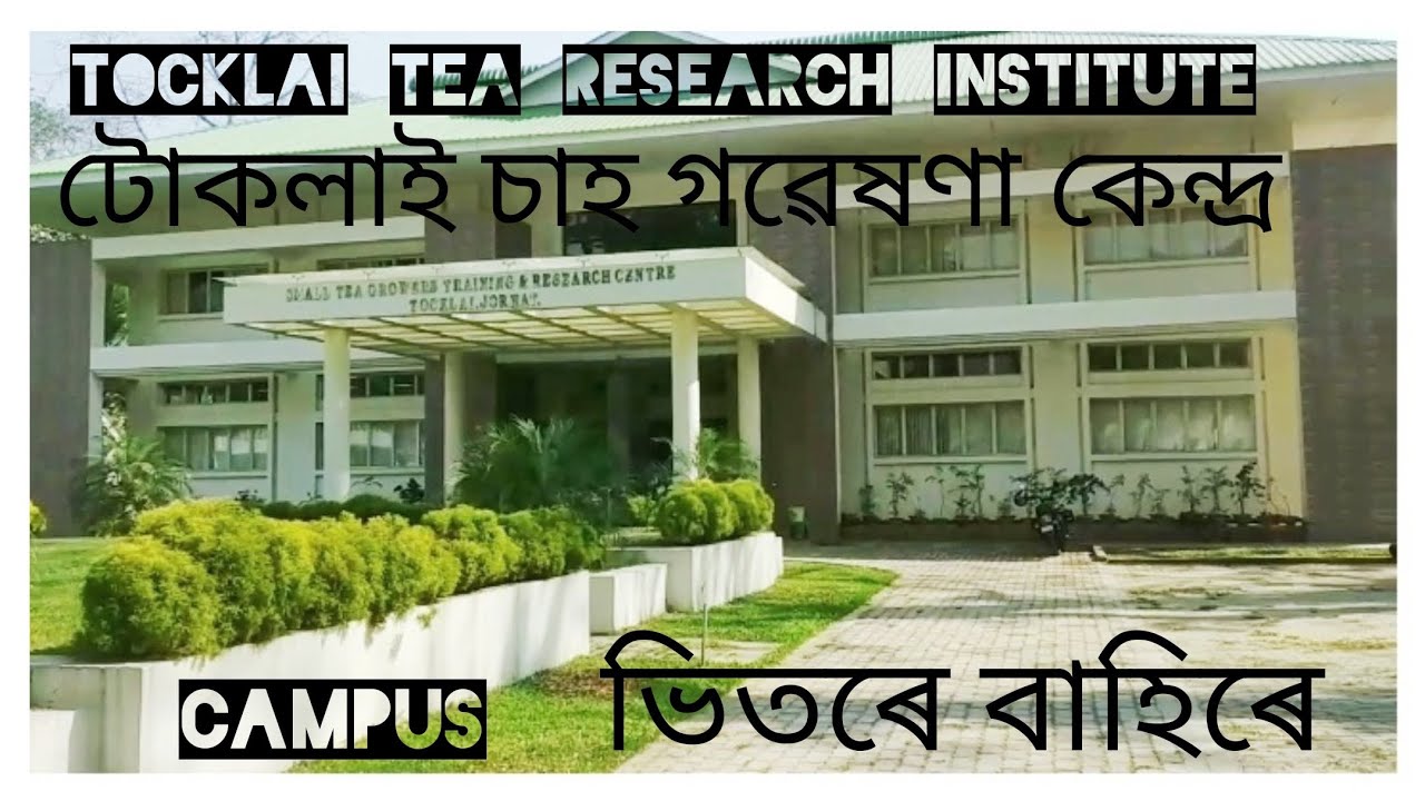 Tocklai Tea Research Institute ৰ Campus tour টোকলাই চাহ গৱেষণা