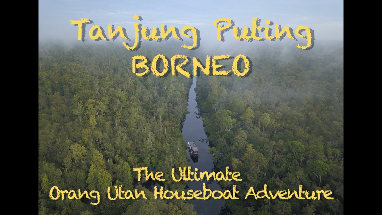 Deep into Borneo: The Ultimate Orangutan Houseboat Adventure