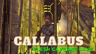 ARK Survival Evolved -Caballus Modded map! I Find The Flesh Caverns and Shadowmanes! (Gameplay Only)