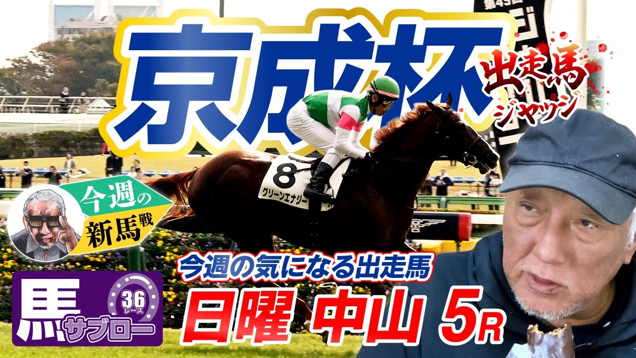 【2026 京成杯】出走馬ジャッジ