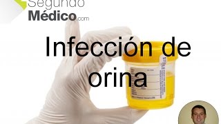 Infección de Orina - Causas, Diagnóstico y Tratamiento.