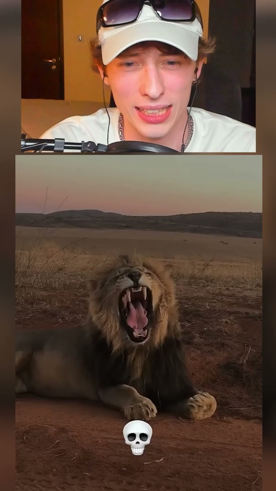 El PODER de la transformación ANIMALES ?