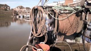 Ukip Party Election Broadcast 1