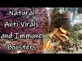 Natural Antivirals and Immune Boosters