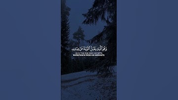 وَهُوَ الَّذي يَقبَلُ التَّوبَةَ عَن عِبادِهِ وَيَعفو عَنِ السَّيِّئَاتِ | إسلام صبحي | سورة الشورى