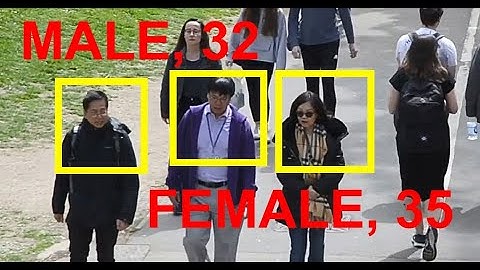 Face gender age demographics AI software demo - Camlytics