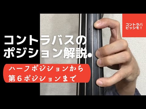 感覚に頼らないベース＆音楽理論をレッスンします 「なぜか弾けない」を音の並び・物理・視覚ロジックで解決！