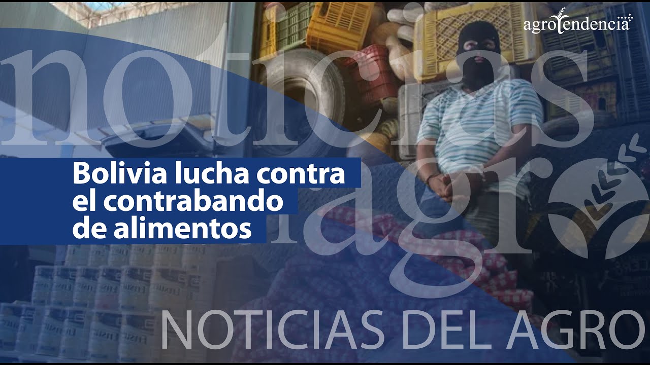 🔴 ¡Decreto histórico! Bolivia lucha contra el contrabando de alimentos ...