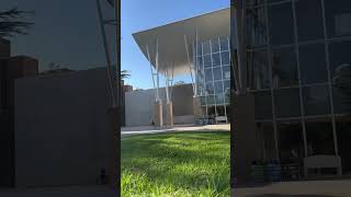 Squirrel POV of CSUN #squirrellife