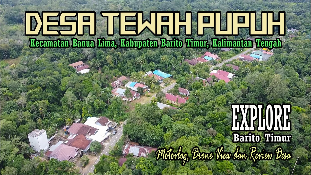DESA TEWAH PUPUH || PEMUKIMAN DAYAK MAANYAN YANG MASIH DI KELILINGI OLEH HUTAN || BARITO TIMUR