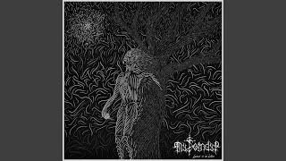 Lament of the Lilies