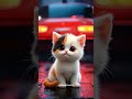 #cat #catvideos #catlovers #catstory #funny #cute #kitten #danger #becareful #haighway #car