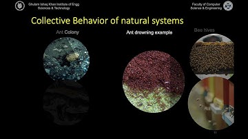 CS352 - Introduction to Soft Computing - Lecture 7 Swarm Intelligence - Section 7.1 Introduction