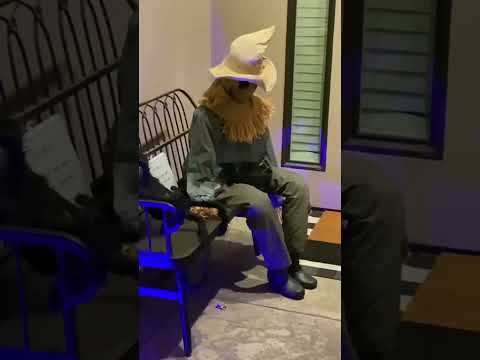 Halloween atrocities | Dr Pal