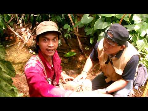 FILE0013 | CMDL 26/9/20 Pesan  Dari Sebuah Titik Petilasan