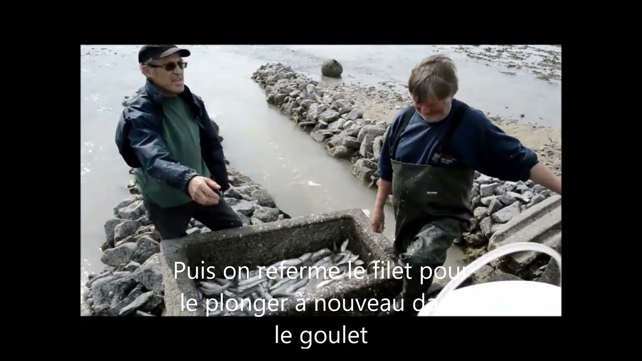 Pêcherie en pierre Les Grand Bras Jullouville-sur-mer