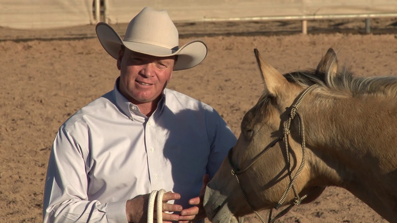 Кен Макнабб: Подготовка к верховой езде | Подготовка лошади к верховой езде
