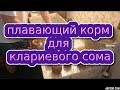 Корм для клариевого сома своими руками плавающий