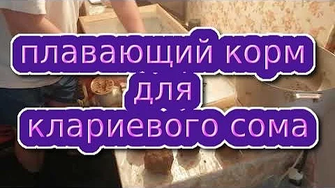 Корм для клариевого сома своими руками плавающий