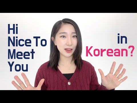 Learn Korean : How to say "Hi, nice to meet you" in Korean 👋🇰🇷 | Informal & Formal