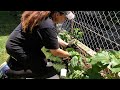 Filling In Holes In A Flower Bed / Dirt and Dish