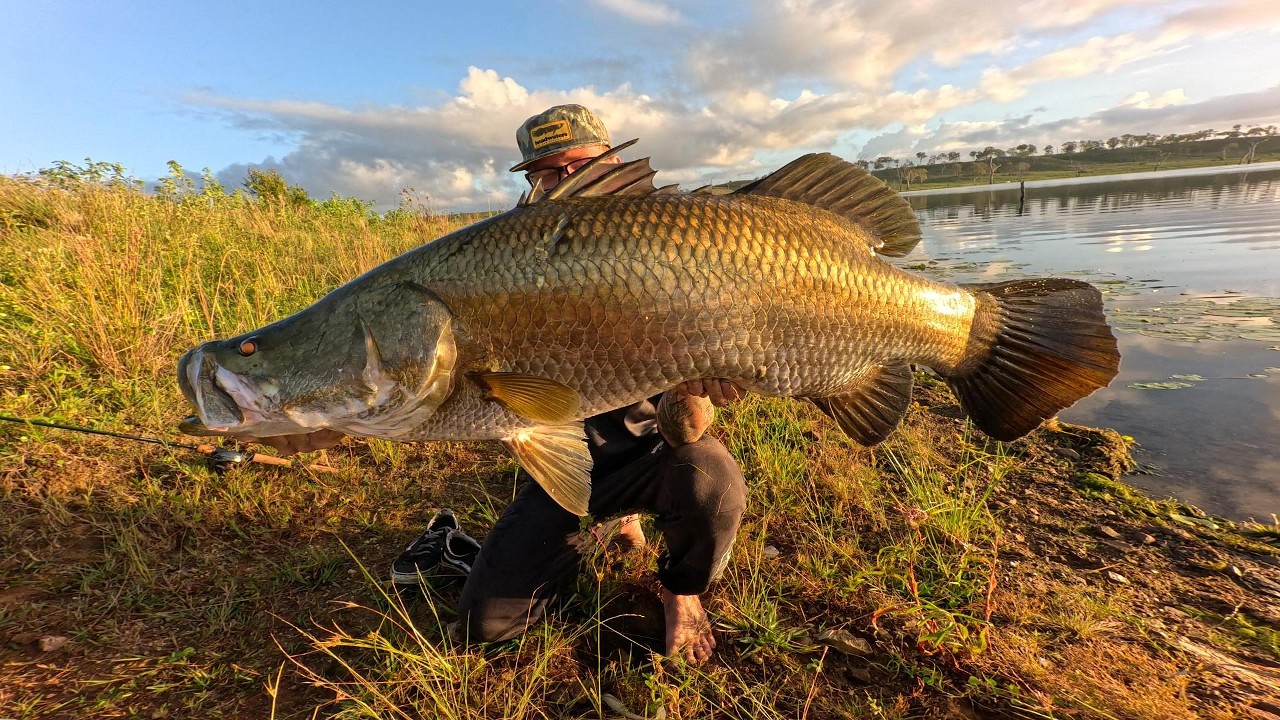Sight Casting Big Barramundi - Lake Monduran!